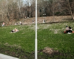НП / НФ Опоры несиловые трубчатые парковые