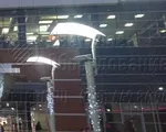 Этюд Комплекс отраженного света