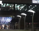 Этюд Комплекс отраженного света
