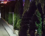 НПК-5 Опора несиловая прямостоечная круглоконическая высота 5 метров