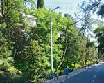 СФГ-1000-9 Опора силовая фланцевая граненая высота 9 метров