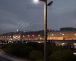 Фламинго-1 Опора декоративная высота 4 метра