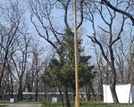 Ангел-1 Опора декоративная высота 4,8 метра