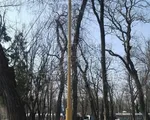 Ангел-2 Опора декоративная высота 4,8 метра