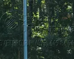 Ангел-3 Опора декоративная высота 4,8 метра
